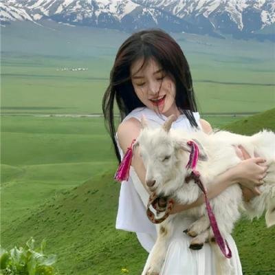 北冰洋行动国语