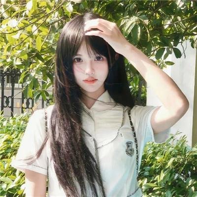 虎鲨王